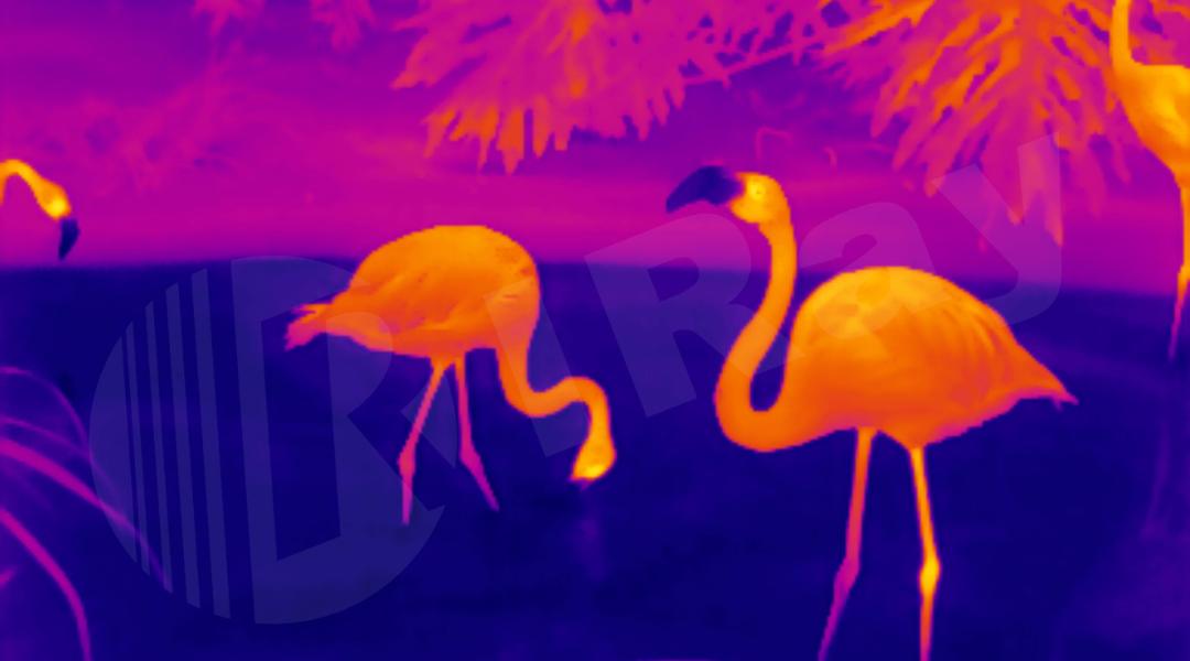 Ultra clear thermal imaging