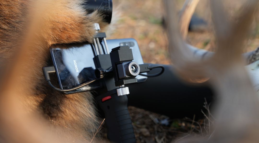 Carry a Thermal Camera for Covert Animal Observation