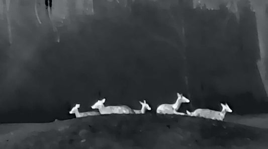 How Thermal Cameras Help Night Hunting