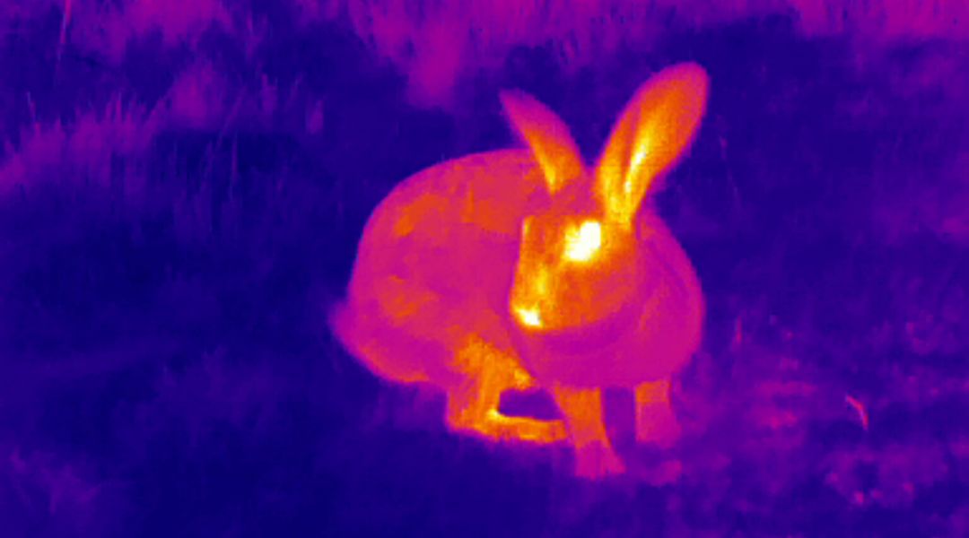 Why Calibrating Your Thermal Camera Matters