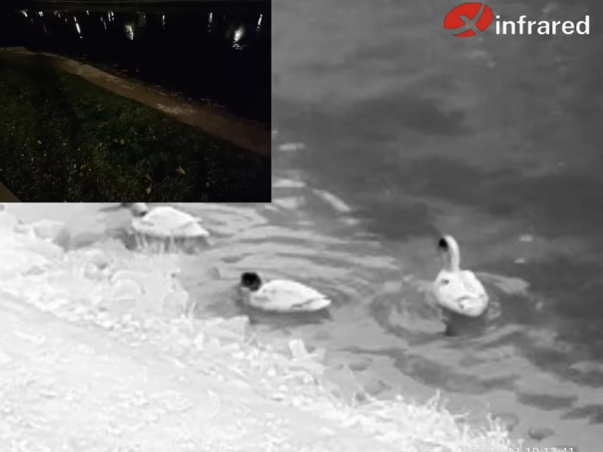 Finding ducks with a thermal camera